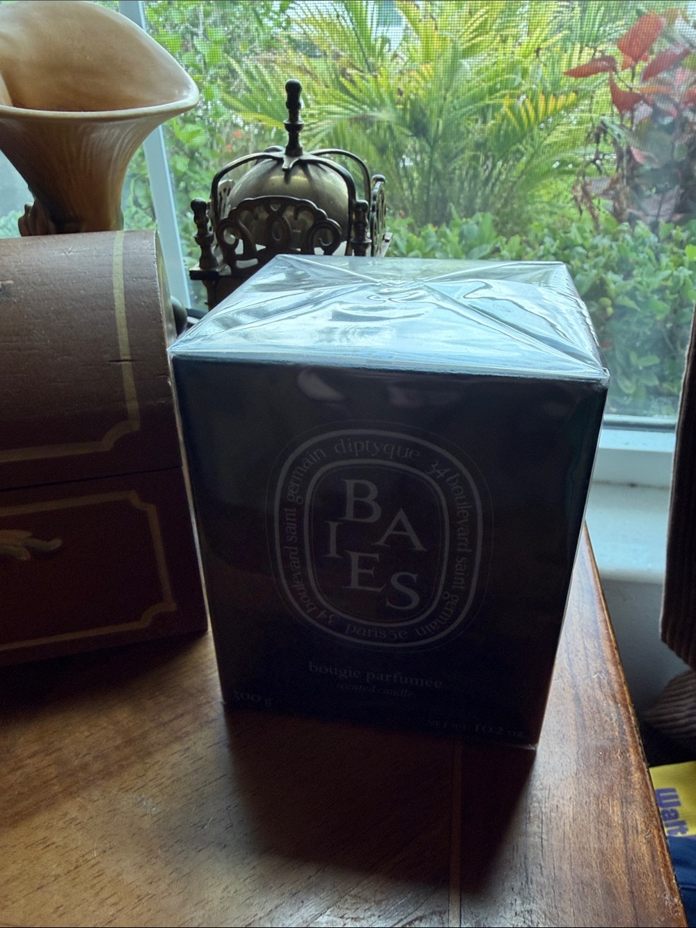 NWT Diptyque Black Baies Scented Candle